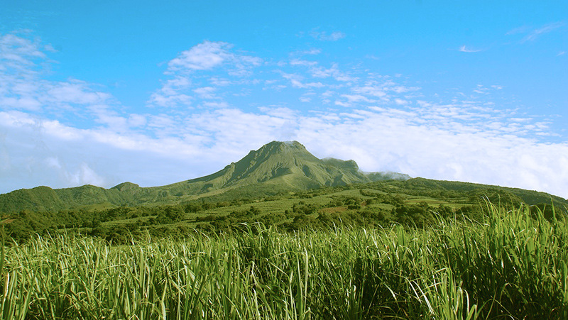 Blog_Martinique_Excursion_à_la_Montagne_Pelée.jpg