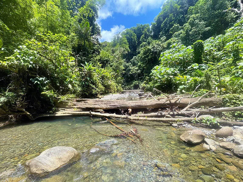 Blog_Guadeloupe_Canyon_de_la__Riviere_Moustique(2).jpg