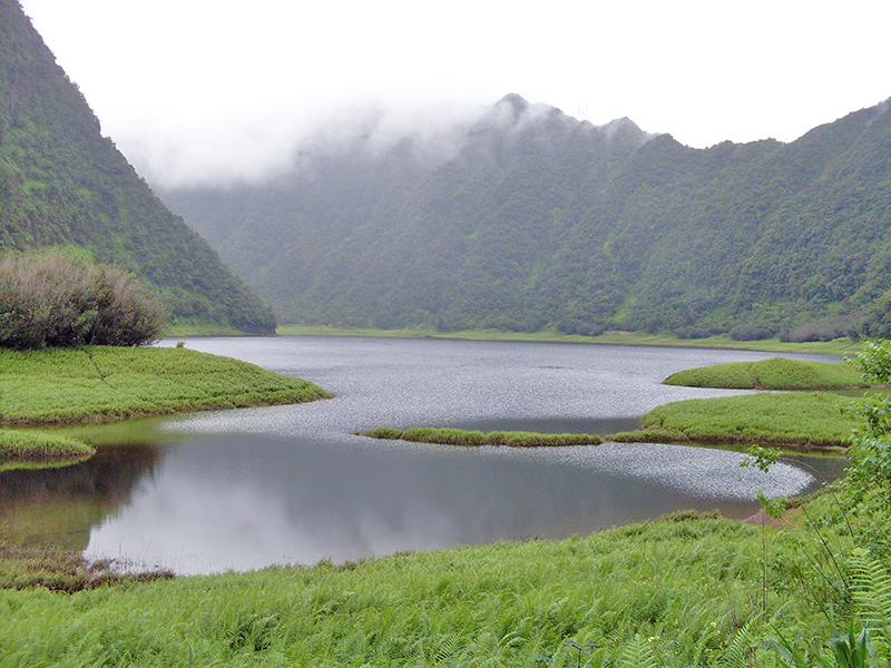 Blog__La__Réunion_visite_Grand__Etang.jpg