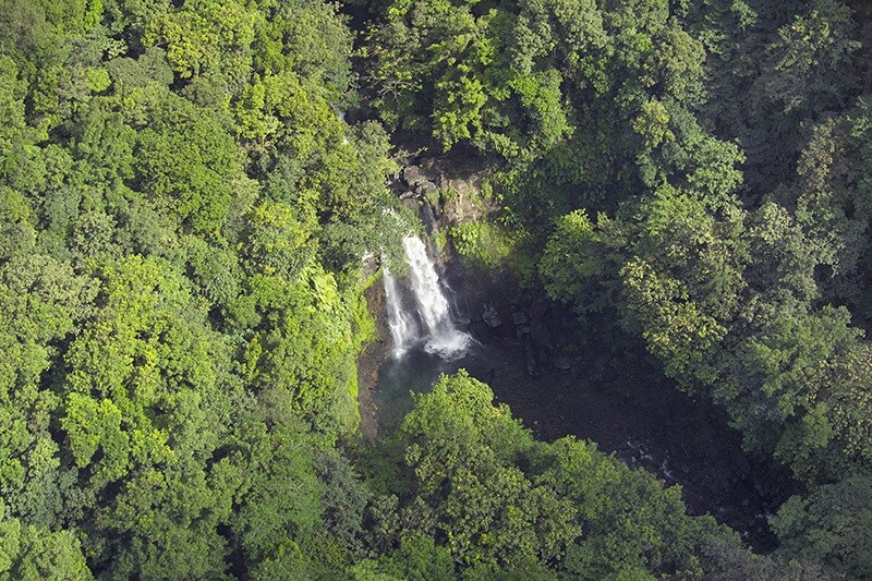 Blog_Guadeloupe_canyoning_chute_du_carbet.jpg