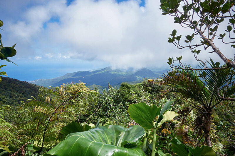 Blog_Guadeloupe_canyoning_Route_de_la_Traversée.jpg