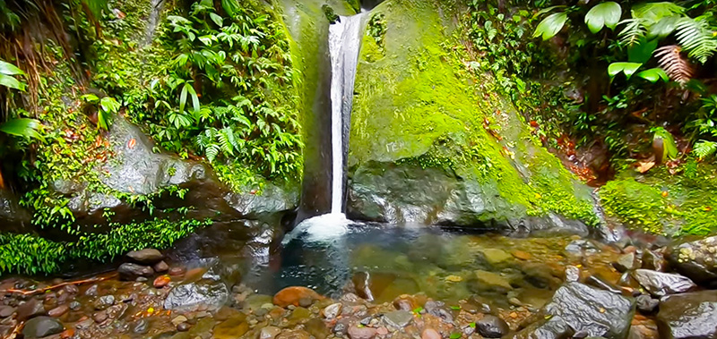 Blog_Guadeloupe_canyoning_Bassin_Paradis_3.jpg