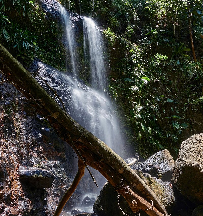 Blog_Guadeloupe_canyoning_Riviere_Moustique.jpg