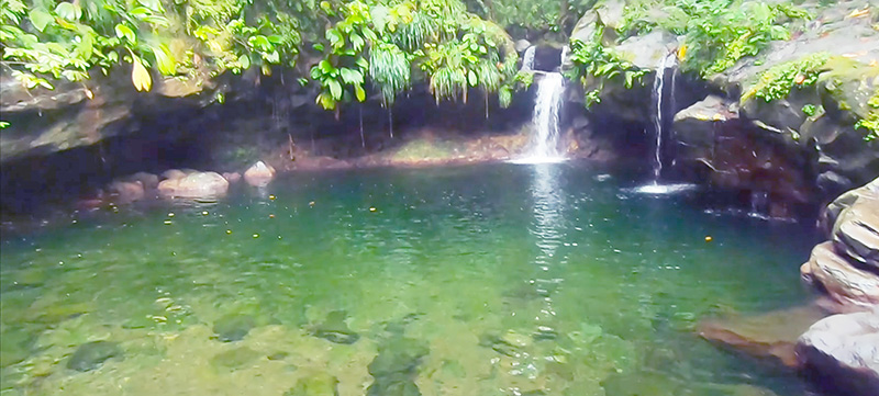 Blog_Guadeloupe_canyoning_Bassin_Paradis_2.jpg